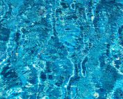 Photo for the Go From Green To Sparkling Clean Pool Water blog post. Shop at Swimart.