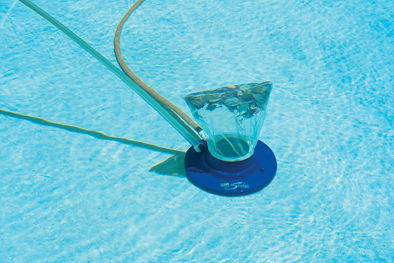 Photo for the Trident Robotic Pool Cleaners blog post. Shop at Swimart.