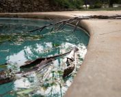 Photo for the How To Fix Murky Pool Water blog post. Shop at Swimart.