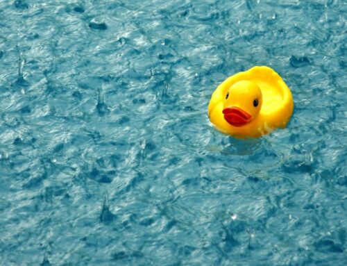 HOW TO CARE FOR YOUR POOL BEFORE & AFTER IT RAINS