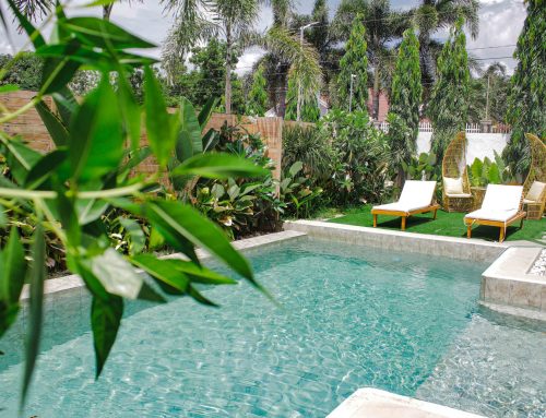 Pool design and landscaping trends