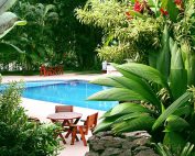 Photo for the Create A Tropical Garden Ambiance Around Your Swimming Pool blog post. Shop at Swimart.