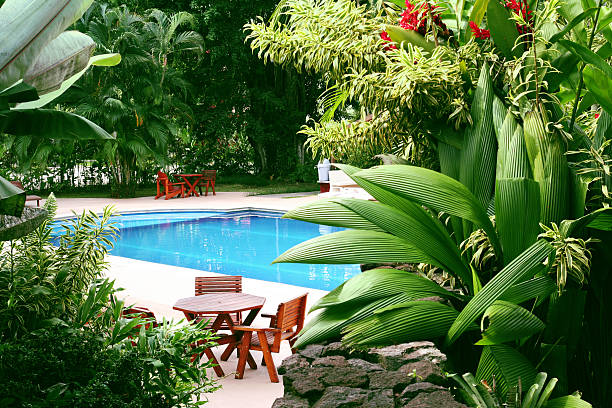 Photo for the Create A Tropical Garden Ambiance Around Your Swimming Pool blog post. Shop at Swimart.