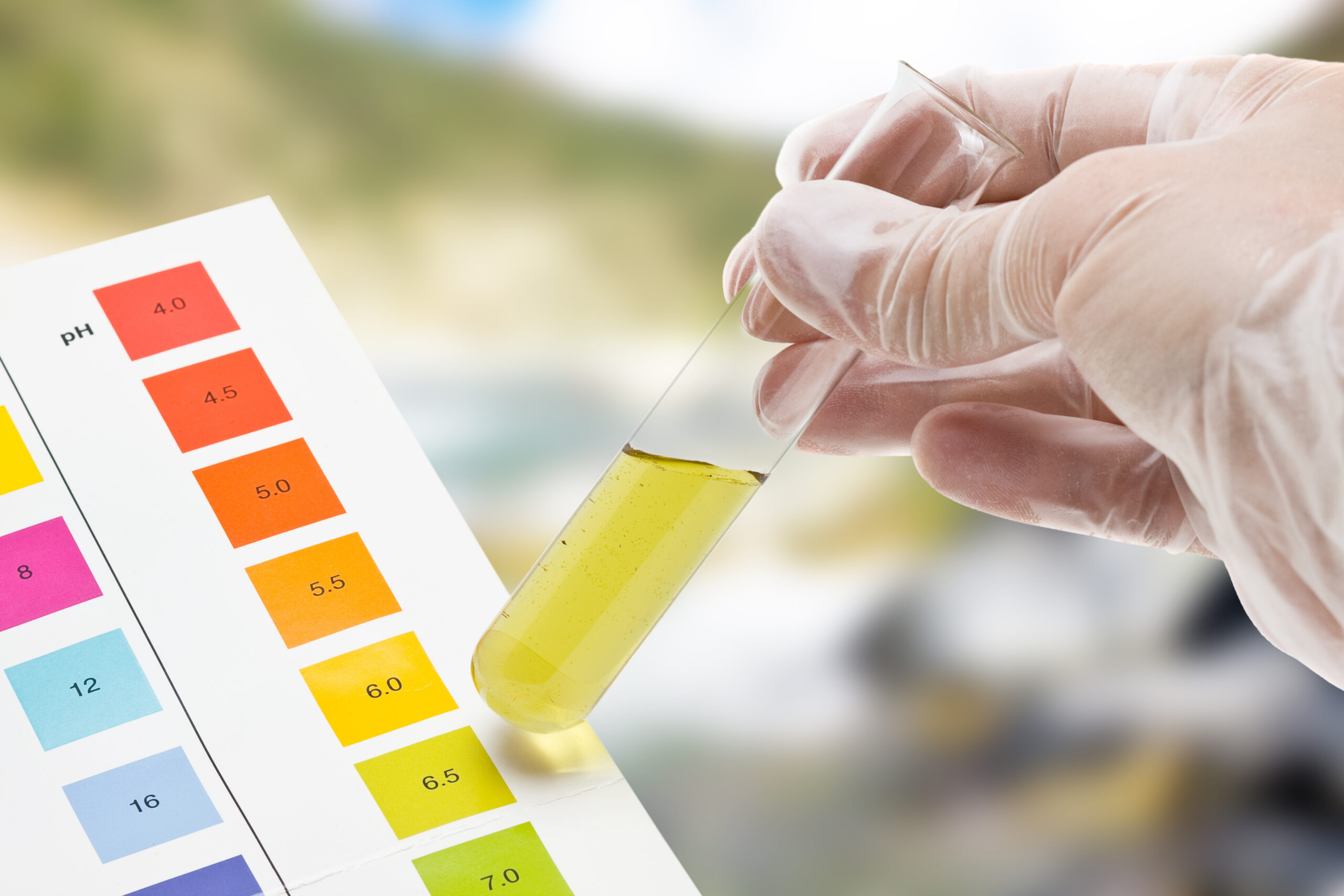 Outdoor pH test Hand holding test tube with pH indicator comparing color to scale