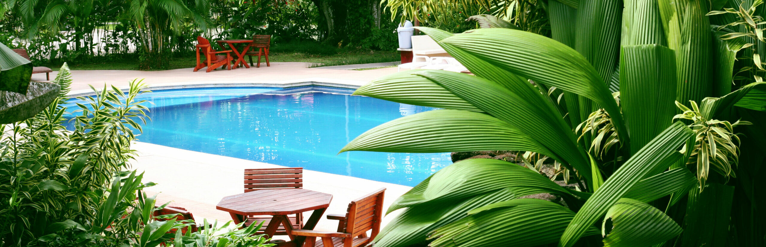Photo For The Swimart Create A Resort In Your Backyard Pool DIY Tips